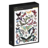 Puzzle 1000 piese Grafika - Illustration from Larousse pour Tous: Butterflies, (Grafika-F-33733)