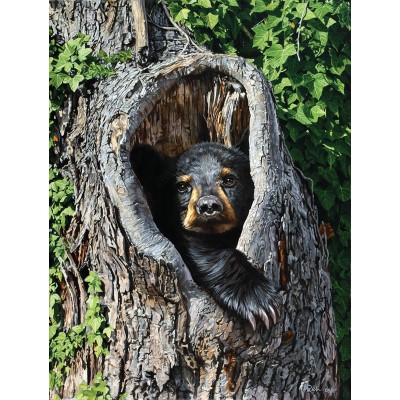 Puzzle 500 piese SunsOut - Jon Ren: Cubby Hole (Sunsout-62826)