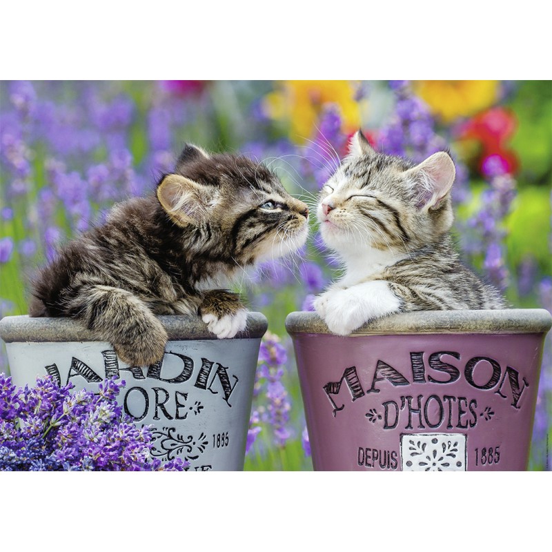 Puzzle 1000 piese Nathan - Kittens Kisses (Nathan-00918)