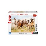 Puzzle 1000 piese Nathan - Riding in the Desert (Nathan-00919)