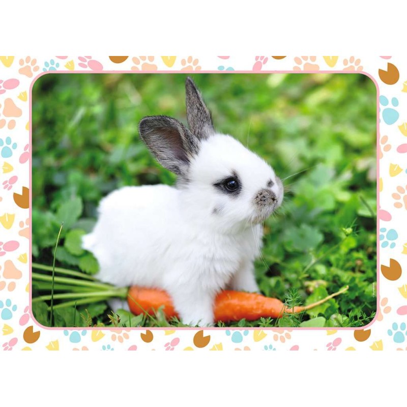 Puzzle 45 piese Nathan - Little Bunny and His Carrot (Nathan-86166)