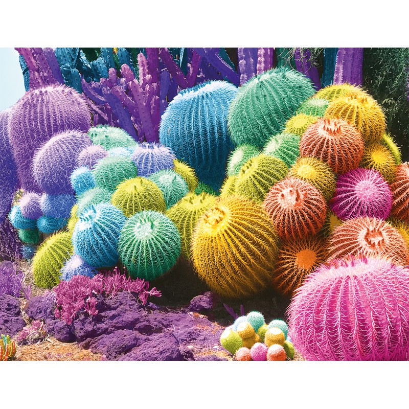 Puzzle 2000 piese Nathan - Cactus Rainbow (Nathan-01142)