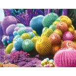 Puzzle 2000 piese Nathan - Cactus Rainbow (Nathan-01142)