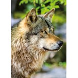 Puzzle 1000 piese Nathan - European Grey Wolf (Nathan-01146)