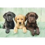 Puzzle 1000 piese Clementoni - Three Labs (Clementoni-39946)