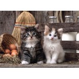 Puzzle 1000 piese Clementoni - Lovely Kittens (Clementoni-39943)