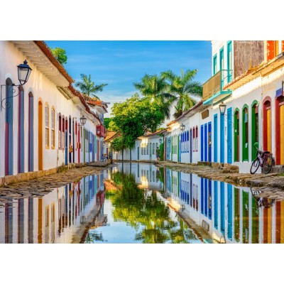 Puzzle 500 piese Bluebird - Rio de Janeiro - Brésil (Bluebird-Puzzle-F-90945) 2