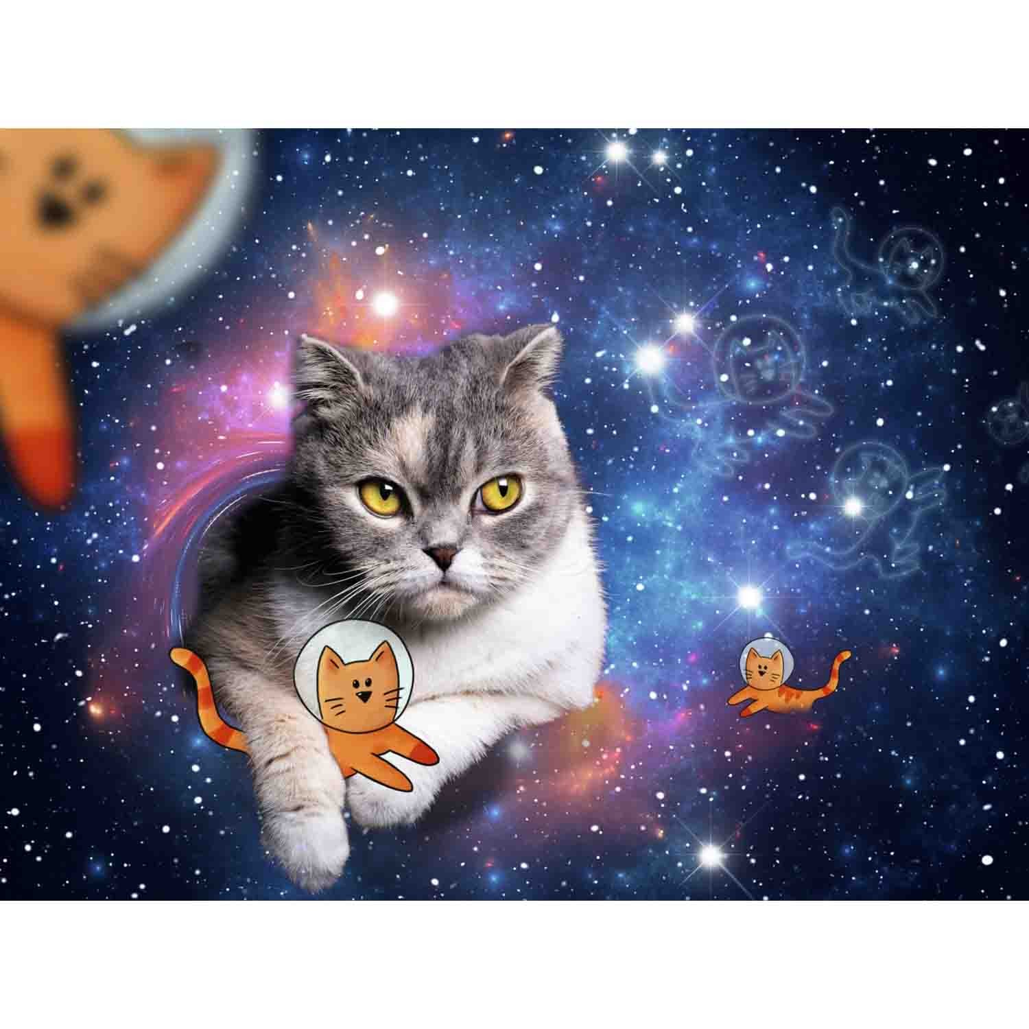 Puzzle 1500 Piese Ravensburger - Pisicute in Spatiu (Ravensburger-17439)