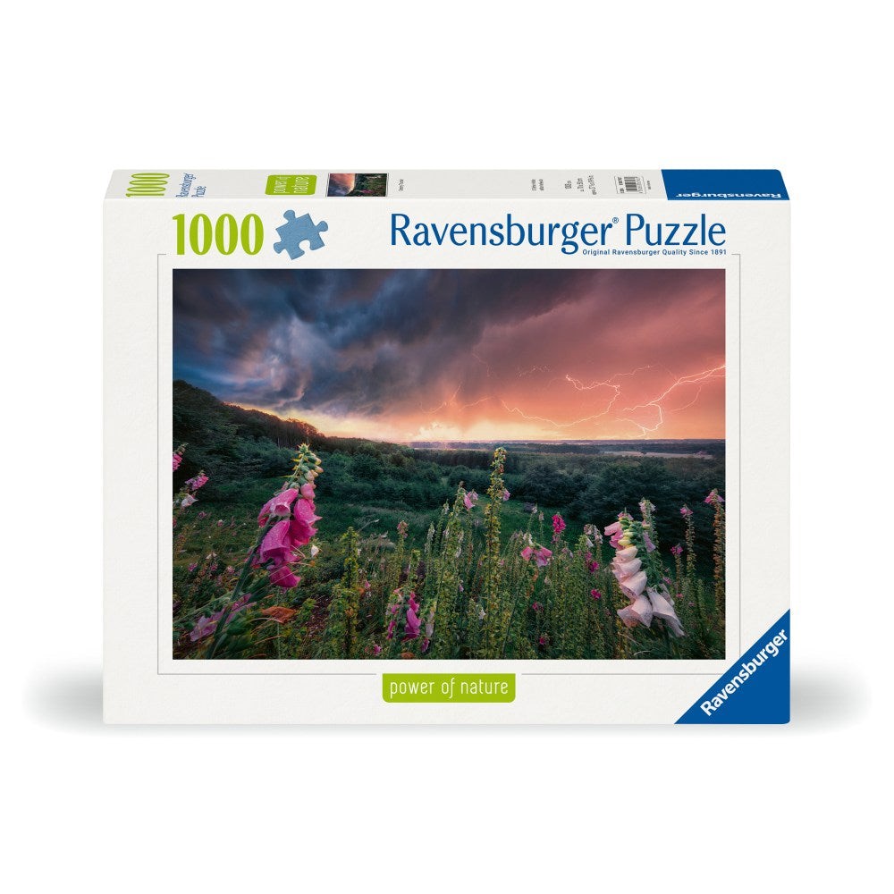 Puzzle 1000 Piese Ravensburger - Tunete (Ravensburger-00793)