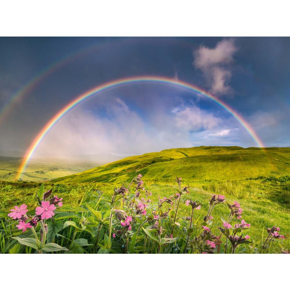 Puzzle 1500 Piese Ravensburger - Curcubeu (Ravensburger-00800)