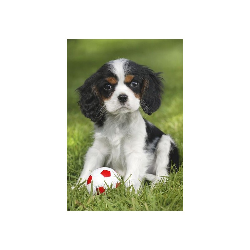 Puzzle 48 piese Schmidt - Greg...