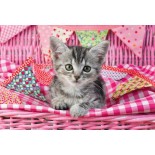 Puzzle 48 piese Schmidt - Greg Cuddiford: My cutest baby animals (Schmidt-56361)