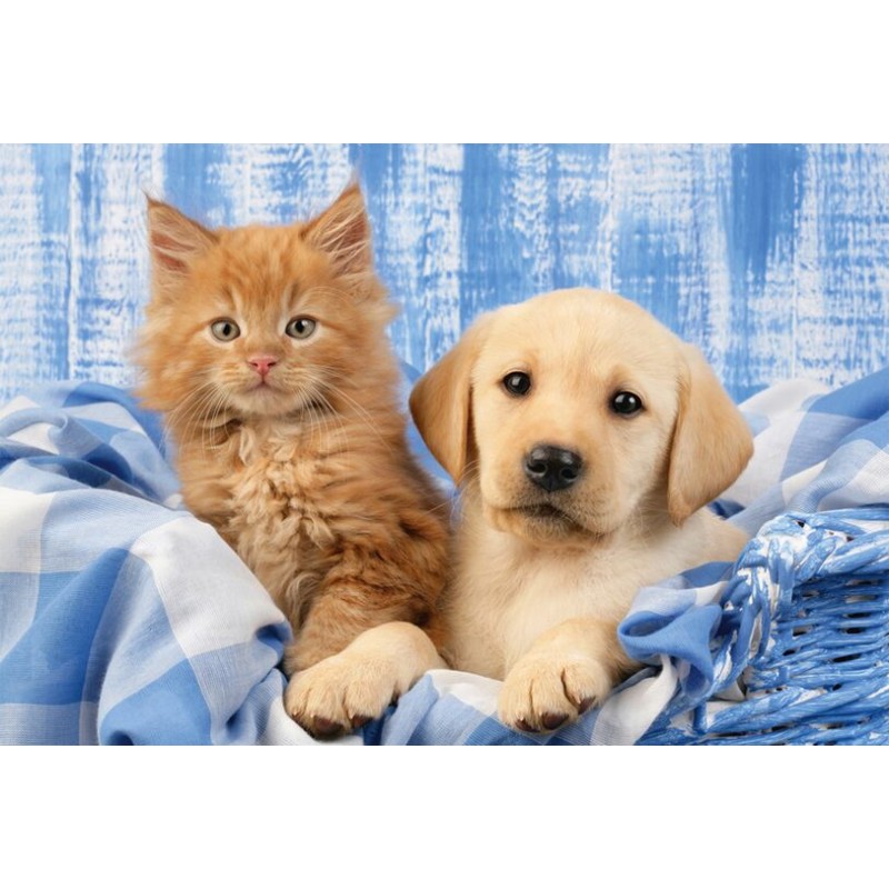 Puzzle 48 piese Schmidt - Greg...