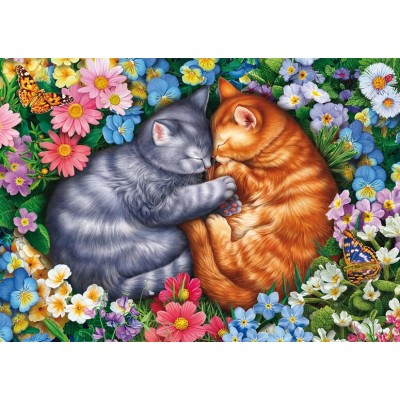 Puzzle 1000 piese Schmidt - Image World:Sleeping Velvet... 2