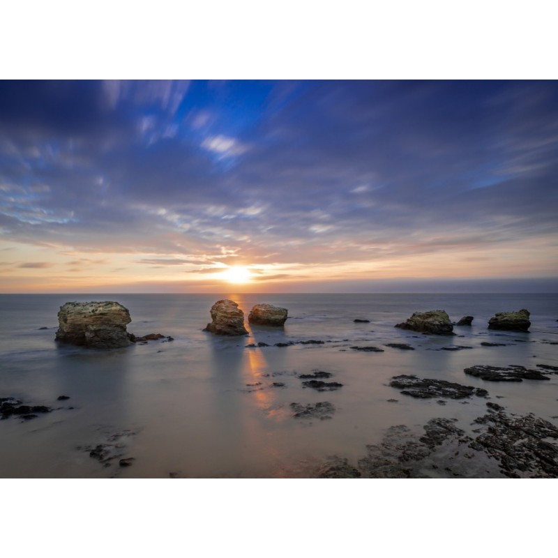 Puzzle 500 piese Alipson - Les 5 Pineaux (Alipson-Puzzle-F-50186)