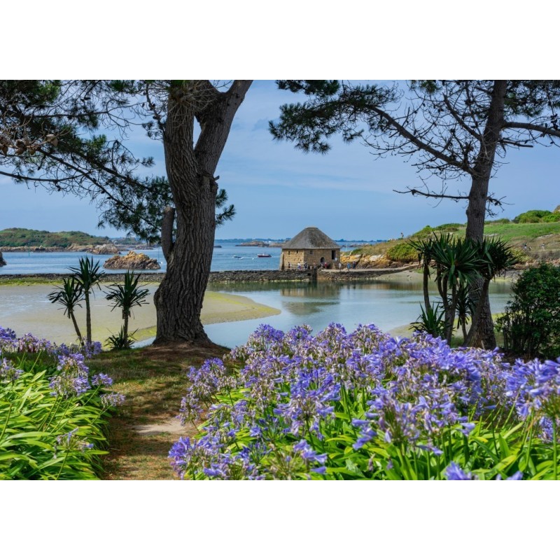 Puzzle 500 piese Alipson - Île de Bréhat (Alipson-Puzzle-F-50189)