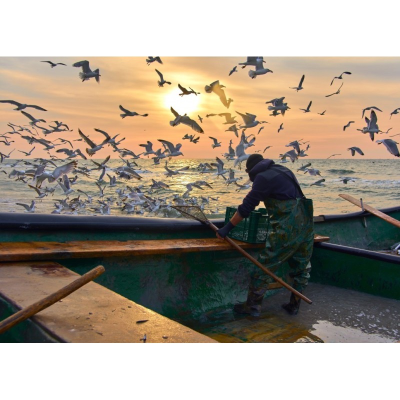 Puzzle 500 piese Alipson - Pêcheur avec Mouettes (Alipson-Puzzle-F-50190)