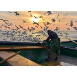 Puzzle 500 piese Alipson - Pêcheur avec Mouettes (Alipson-Puzzle-F-50190)