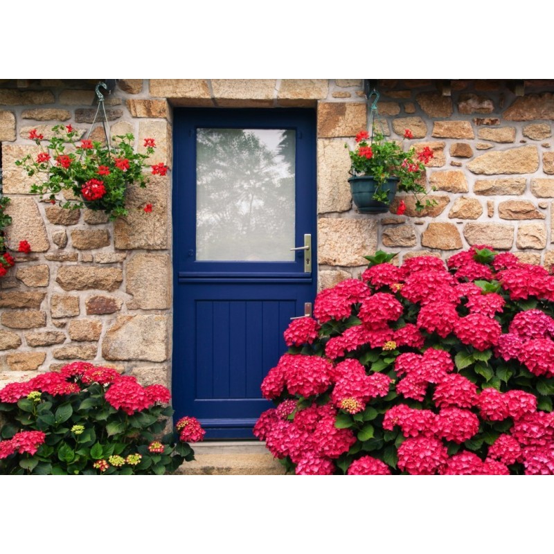 Puzzle 500 piese Alipson - Maison bretonne et fleurs (Alipson-Puzzle-F-50194)