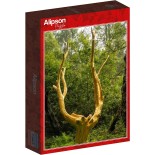 Puzzle 500 piese Alipson - Forêt de Brocéliande (Alipson-Puzzle-F-50193)