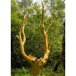 Puzzle 500 piese Alipson - Forêt de Brocéliande (Alipson-Puzzle-F-50193)