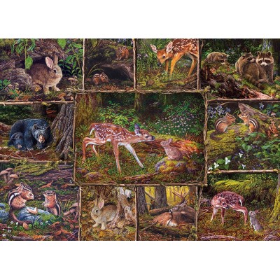 Puzzle 350 piese Cobble Hill - Karla Mann: Into the Woods - Family Pieces (Cobble-Hill-47049) 2