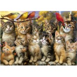 Puzzle 500 piese Educa - Kittens and Birds (Educa-20241)
