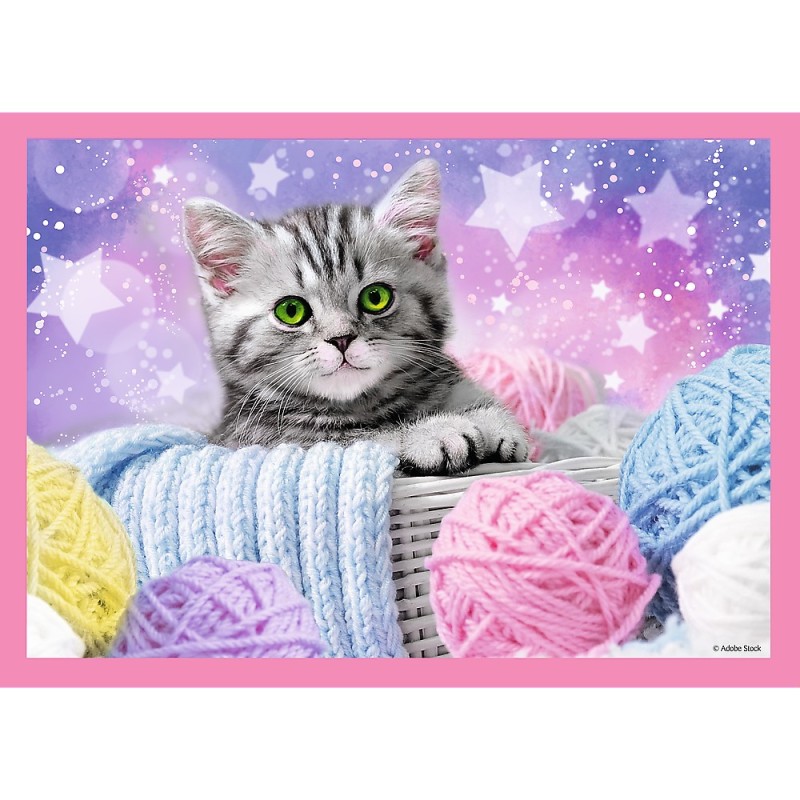 Puzzle 35/48/54/70 piese Trefl -...