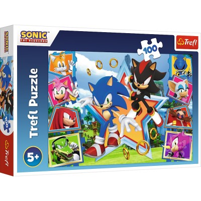 Puzzle 100 piese Trefl - Meet Sonic (Trefl-16465)