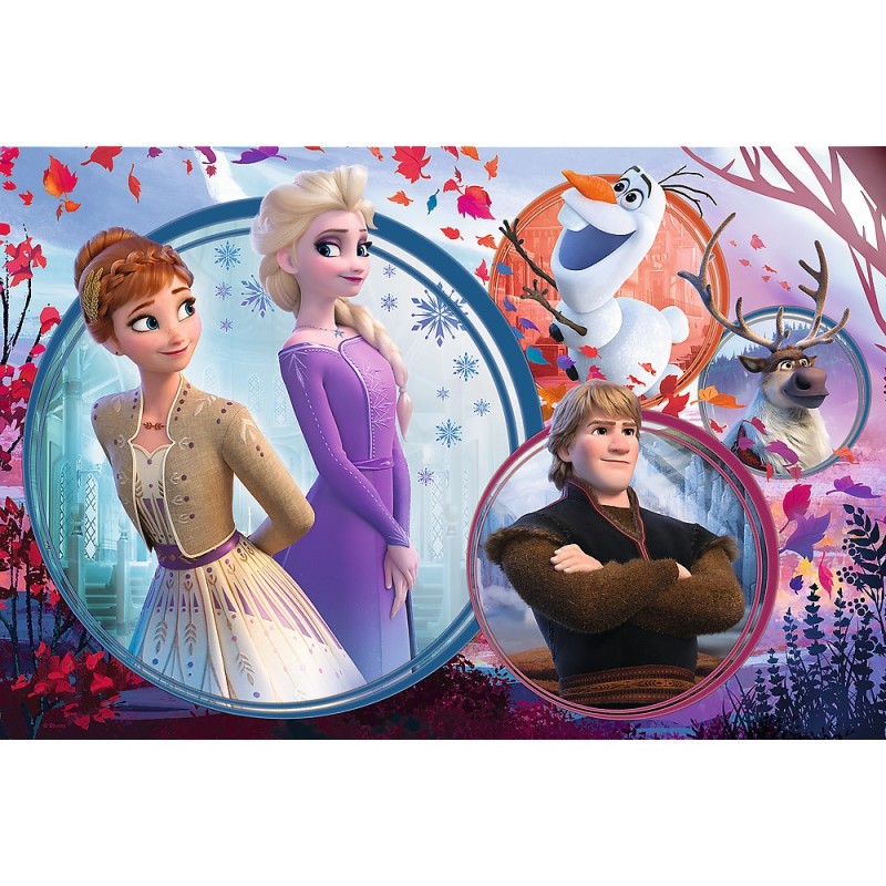 Puzzle Trefl -Frozen Ii, 160 Piese...