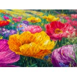 Puzzle 1000 piese ENJOY - Rainbow Meadow (Enjoy-2404)