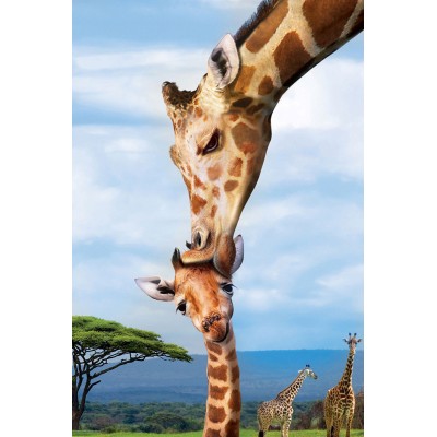Puzzle 250 piese Eurographics - Giraffes... 2