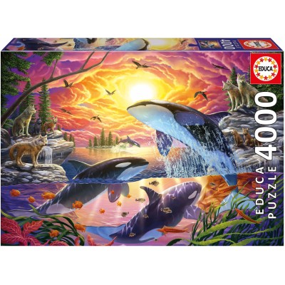 Puzzle 4000 piese Educa - Orcas and Wolves (Educa-20259)