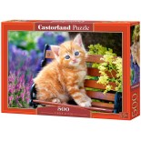 Puzzle Castorland - Ginger Kitten, 500 piese