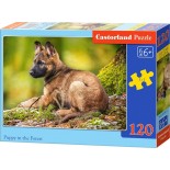 Puzzle Castorland -Puppy in the Forest, 120 Piese