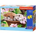 Puzzle Castorland -Springtime, 120 Piese