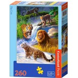 Puzzle Castorland -Big Cats, 260 Piese