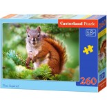 Puzzle Castorland -Pine Squirrel, 260 Piese