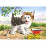 Puzzle 4 in 1 Castorland -Animals, 8/12/15/20 Piese