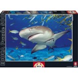 Puzzle Educa -Shark, 500 Piese (15972)