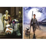 Puzzle Educa -Star Wars, 2X500 Piese, Include Lipici Puzzle (16523)