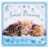 Puzzle Trefl -Sweet & Lovely, 20/36/50 Piese (48949)