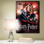 Puzzle Wrebbit - Poster Hogwarts School, Harry Potter, 500 Piese (56894)