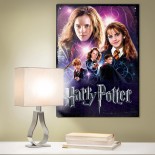 Puzzle Wrebbit - Poster Puzzle -Hermione Granger, Harry Potter, 500 Piese (56896)