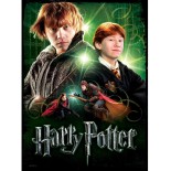 Puzzle Wrebbit - Poster Puzzle -Ron Weasley, Harry Potter, 500 Piese (56897)