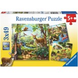 Puzzle Ravensburger -Padure, 3X49 Piese (09265)