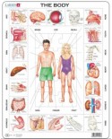 Puzzle Larsen - The Body, 35 piese (59555)