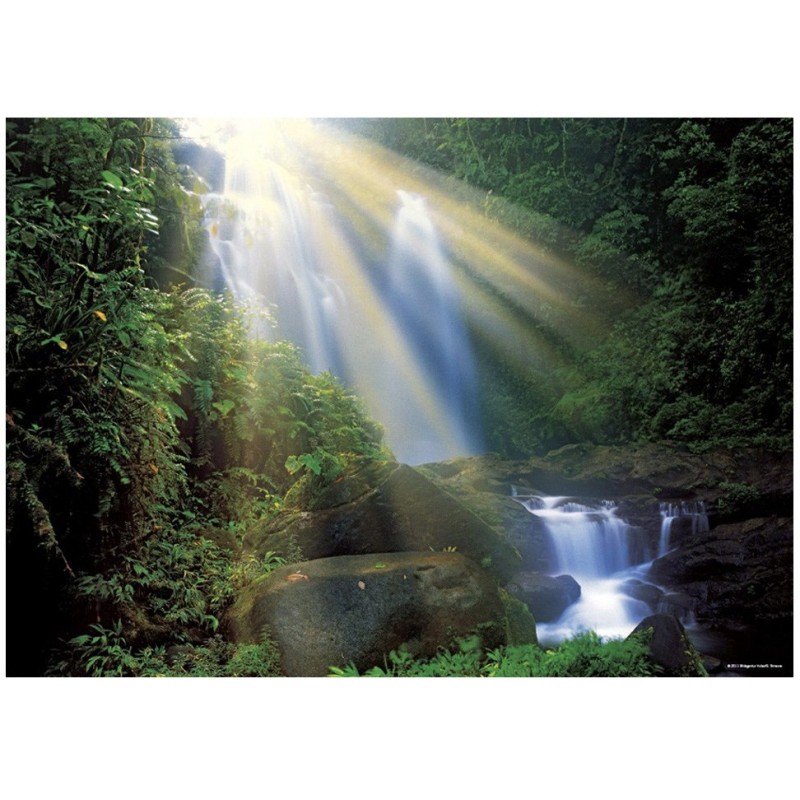 Puzzle Heye - Magic Forest...