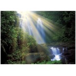 Puzzle Heye - Magic Forest :Waterfall, 1000 Piese (10830)