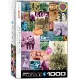 Puzzle Eurographics - 60s Love Collection, 1000 piese (6000-0943)